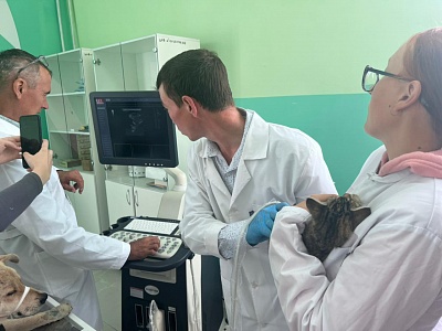 Наша компания приняла участие в торжественном открытии современных мастерских по компетенциям «Ветеринария» и «Сельскохозяйственные биотехнологии»